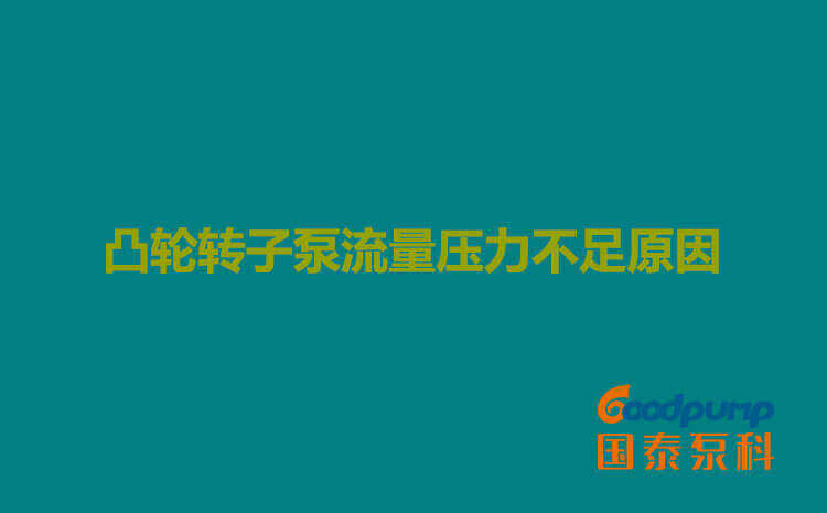 凸轮蜜桃成人无码区免费视频网站流量压力不足原因