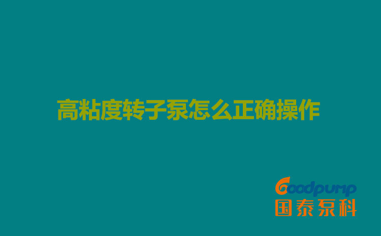 高粘度蜜桃成人无码区免费视频网站怎么正确操作
