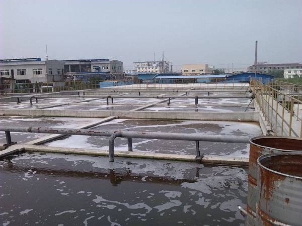 蜜桃成人无码区免费视频网站在沉淀池污泥处理中的应用